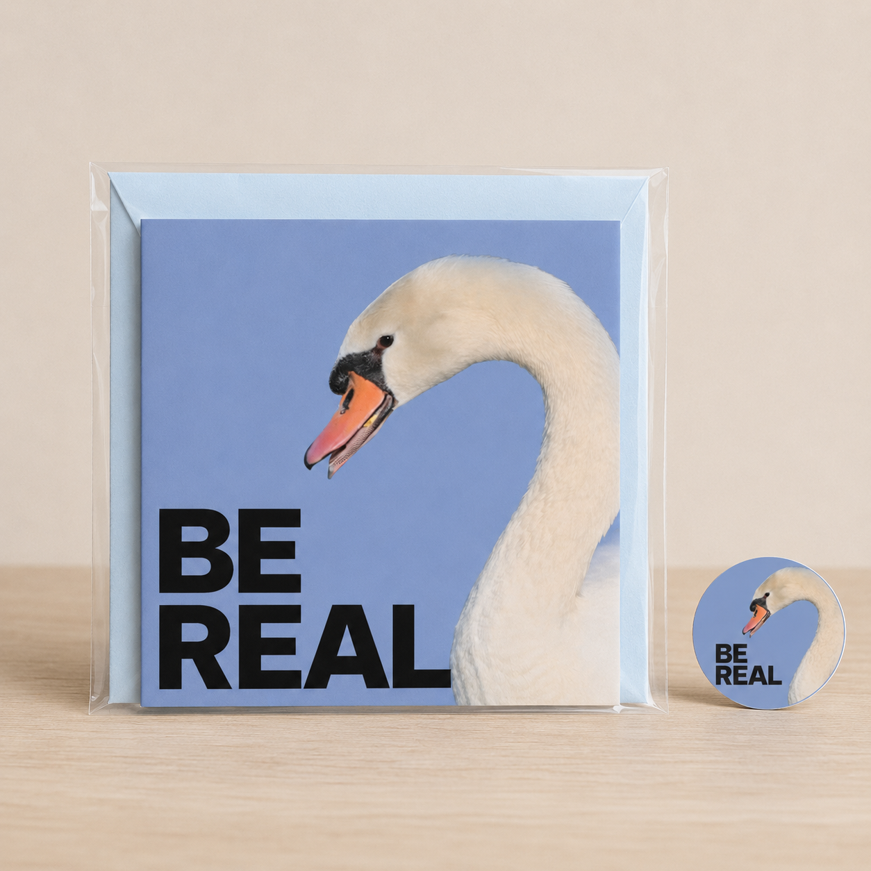 Quiet Blue, Still Real