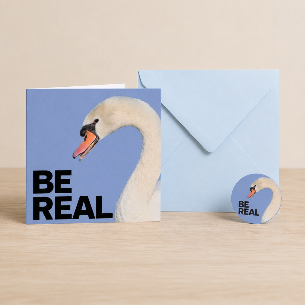 Quiet Blue, Still Real