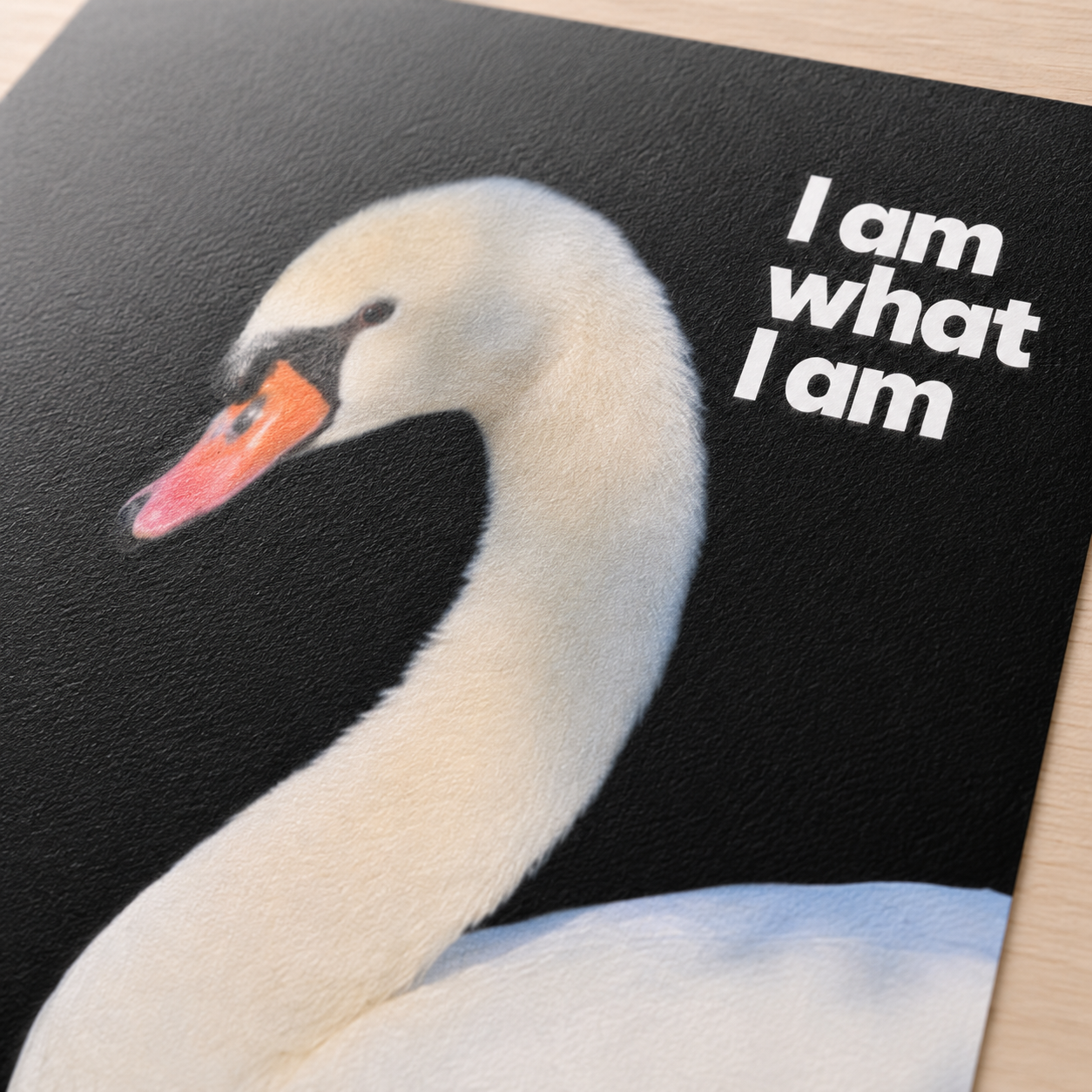 I Am What I Am