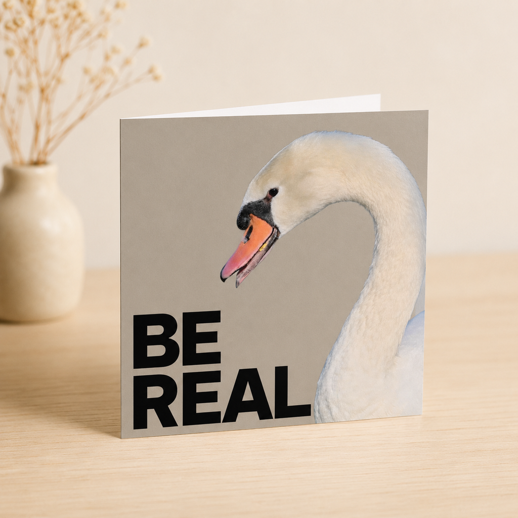 Be Real, Even on Grey Days