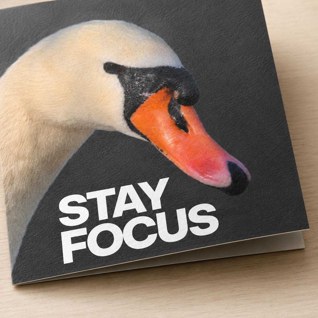 Stay Focus, Keep Going