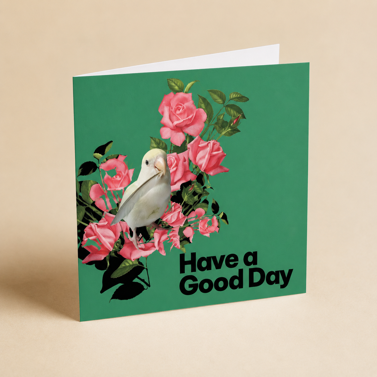 A Good Day is Coming